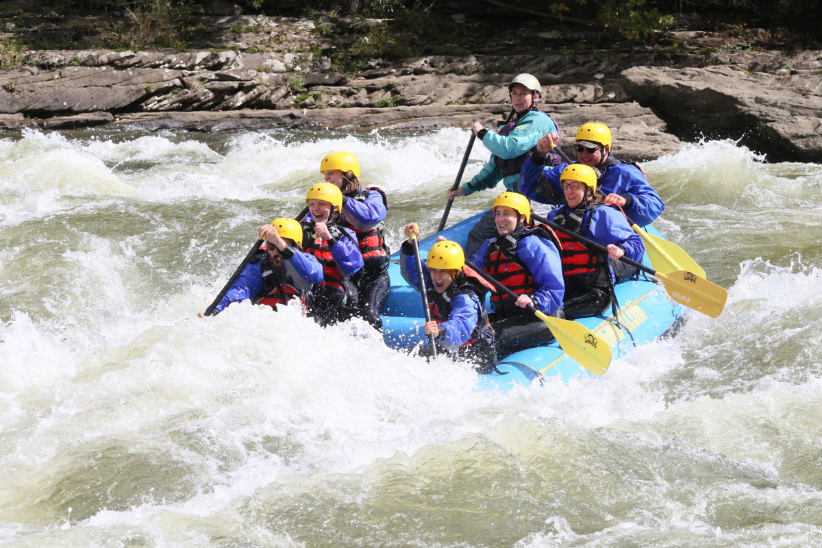 Lower Gauley | Single Day - River Expeditions