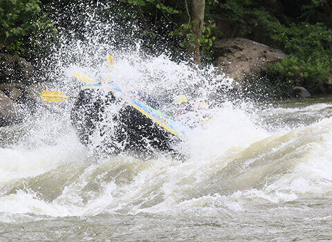 a group rafting