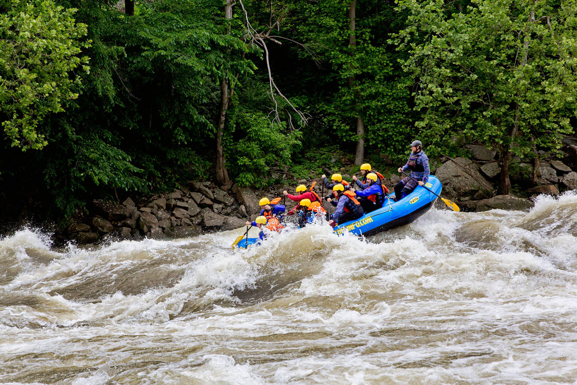 a group rafting