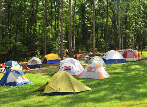 tents pitched in a group on the grass with the wooded trees in the backgorund